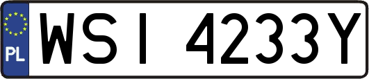 WSI4233Y