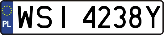 WSI4238Y