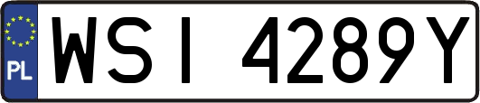 WSI4289Y