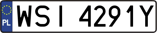 WSI4291Y