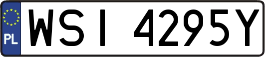 WSI4295Y