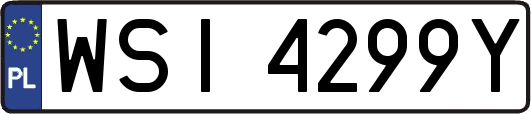 WSI4299Y