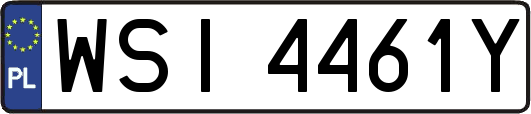 WSI4461Y