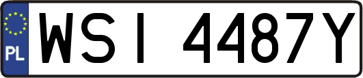 WSI4487Y