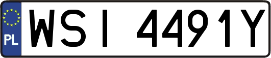 WSI4491Y