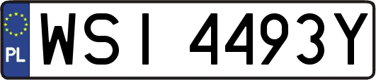 WSI4493Y