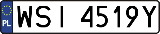 WSI4519Y