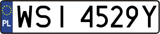 WSI4529Y