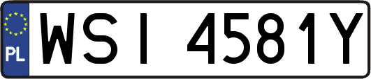WSI4581Y