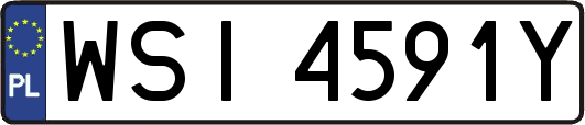 WSI4591Y