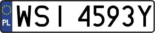 WSI4593Y