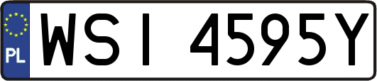 WSI4595Y