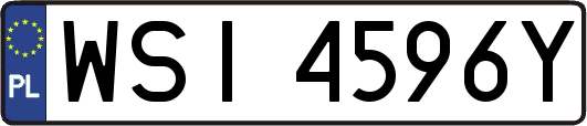 WSI4596Y