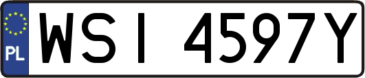 WSI4597Y