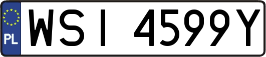 WSI4599Y