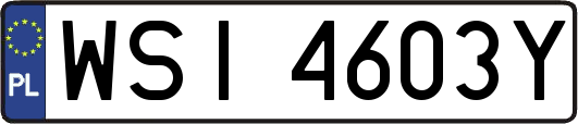 WSI4603Y