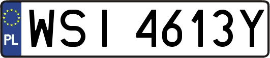 WSI4613Y