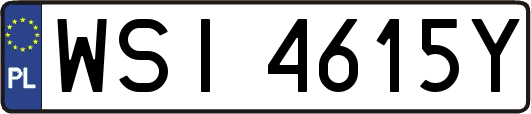 WSI4615Y