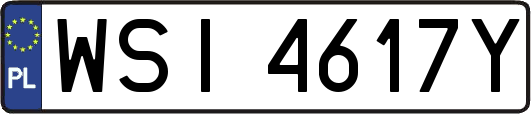 WSI4617Y