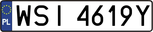 WSI4619Y