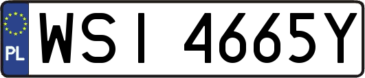 WSI4665Y