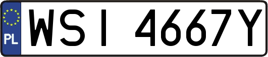 WSI4667Y