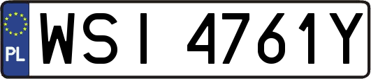 WSI4761Y