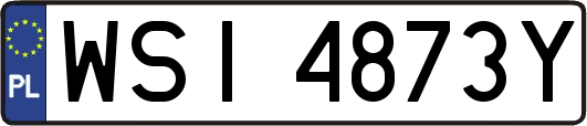 WSI4873Y
