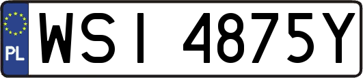 WSI4875Y