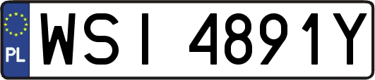 WSI4891Y