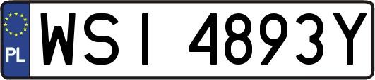 WSI4893Y