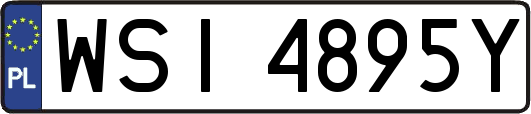 WSI4895Y