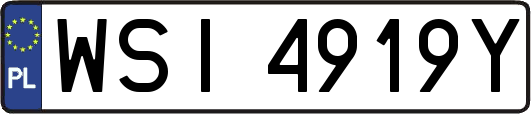 WSI4919Y