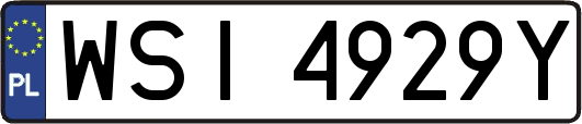 WSI4929Y