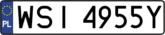 WSI4955Y