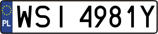 WSI4981Y