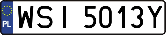 WSI5013Y