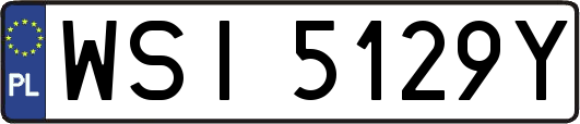 WSI5129Y