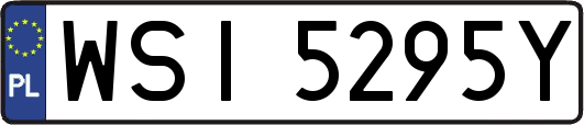 WSI5295Y