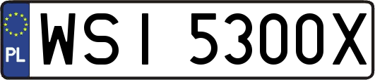 WSI5300X