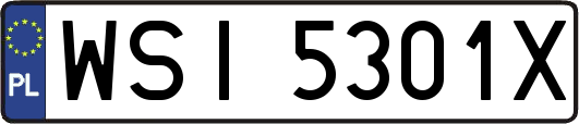 WSI5301X