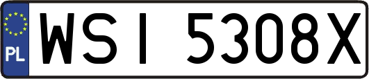 WSI5308X