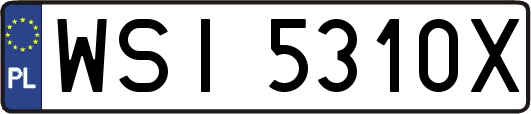 WSI5310X