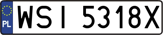 WSI5318X
