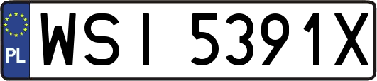 WSI5391X