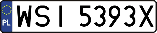 WSI5393X
