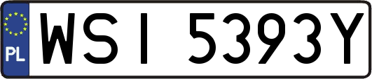 WSI5393Y