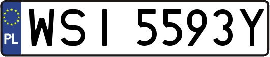 WSI5593Y