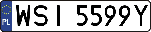 WSI5599Y