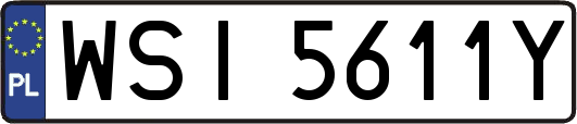 WSI5611Y